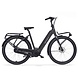 Cortina Cortina E-Common Family INT Elektrische Moederfiets