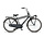 Altec Dutch Heren Transportfiets