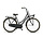 Altec Classic Transportfiets Dames