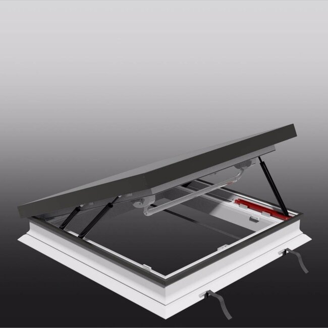 Intura Platdakraam Intura PGM A9  60x60 - daktoetreding met zonwerend glas