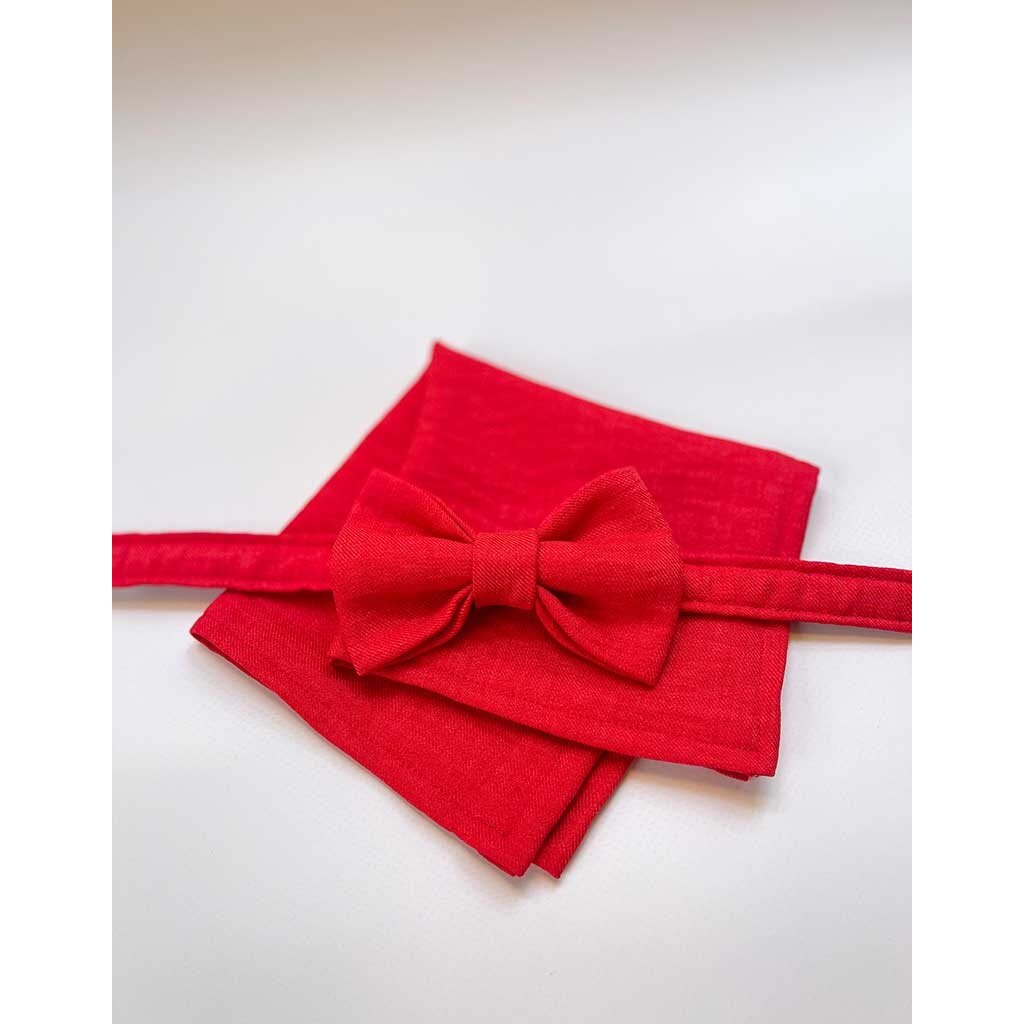 Fliege | Blazing Poppy | Weich gewebter Polyester