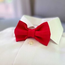 Nœud papillon | Blazing Poppy | Polyester tissé souple