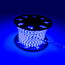 Cordon lumineux LED d'extérieur, bleu
