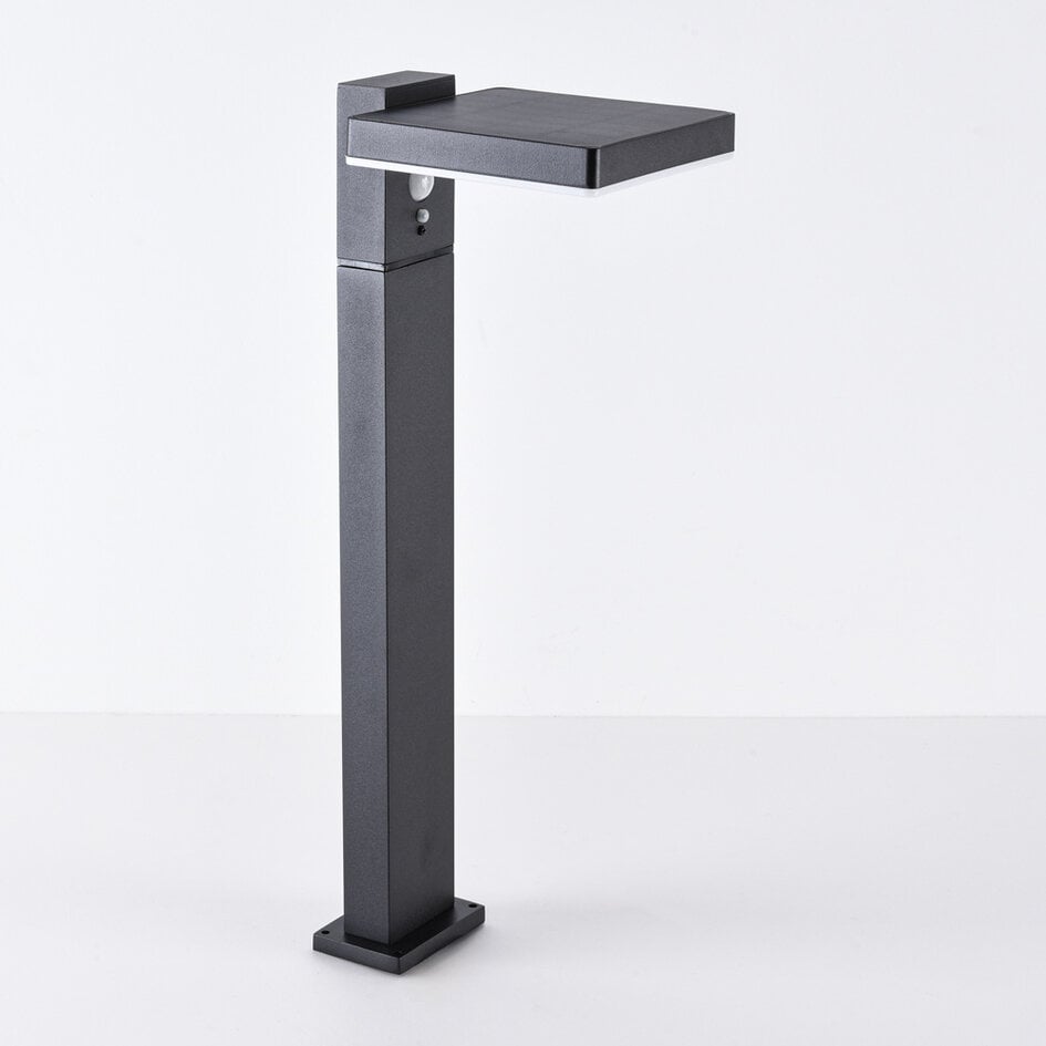 Lampe d'extérieur solaire sur pied Paulo à détecteur, noir, 50 cm