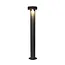 Lampe d'extérieur sur pied Ferris anthracite à LED intégrée - 80 cm