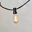 Jeu de câbles épineux avec lampes à incandescence de 2,5W Ø60 : option dimmable
