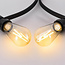 Jeu de câbles épineux avec lampes à incandescence de 2,5W Ø60 : option dimmable
