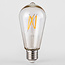 Lampe à incandescence 3,5W dimmable Ø60