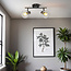 Plafonnier moderne noir avec verre transparent, 2 lumières - Jenthe