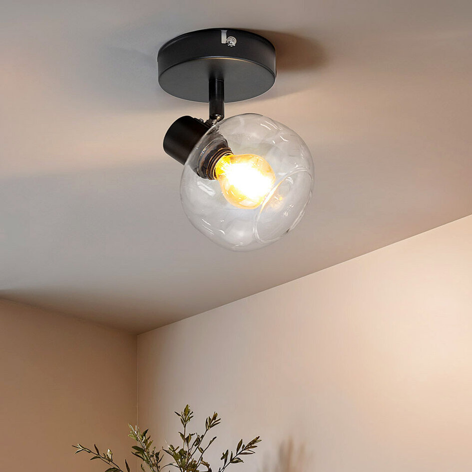 Plafonnier noir avec verre transparent, 1 lumière - Jenthe