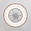 Ventilateur de plafond Cakir avec effet stéréo et température de couleur réglable - abat-jour en bambou brun clair