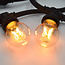 Ampoules à filament blanc chaud, Ø55, dimmable - 4 watts