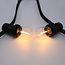 Jeu de cordons avec lampes à filament en verre clair de 1 watt : option dimmable
