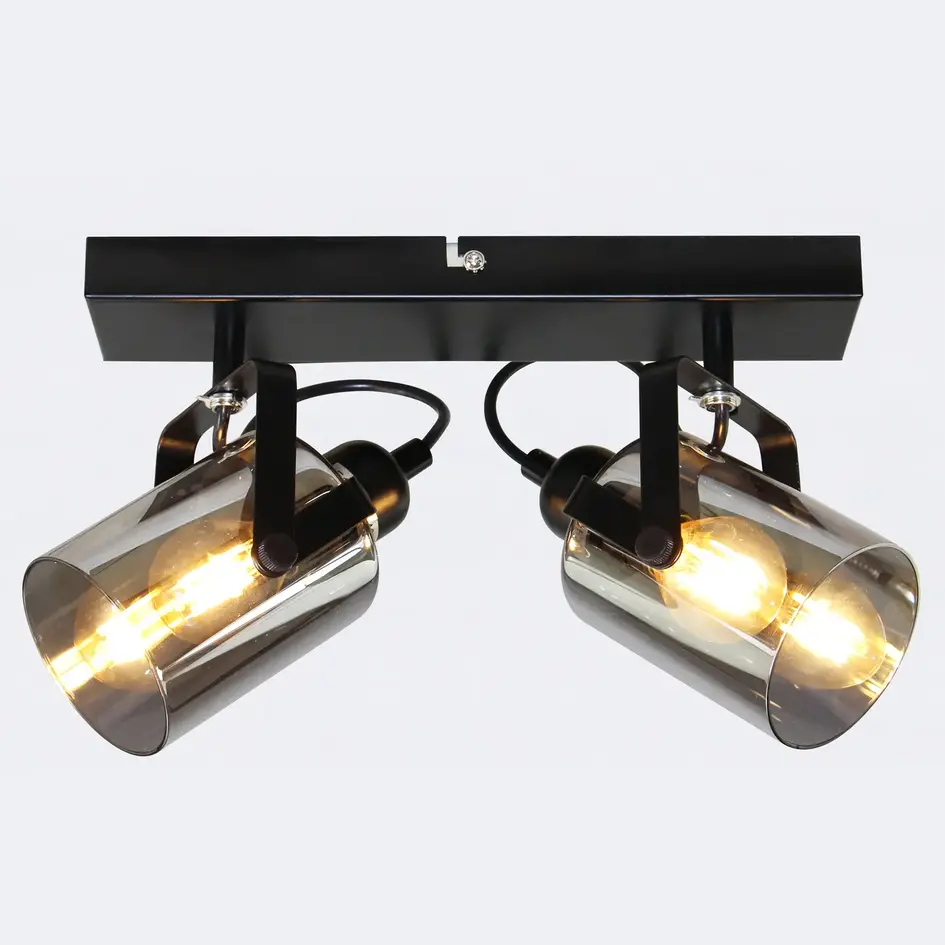 Plafondlamp met smoke grijs glas, 2-lichts - Ryan