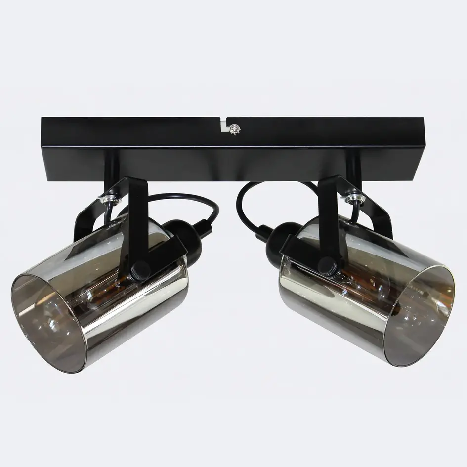 Plafondlamp met smoke grijs glas, 2-lichts - Ryan