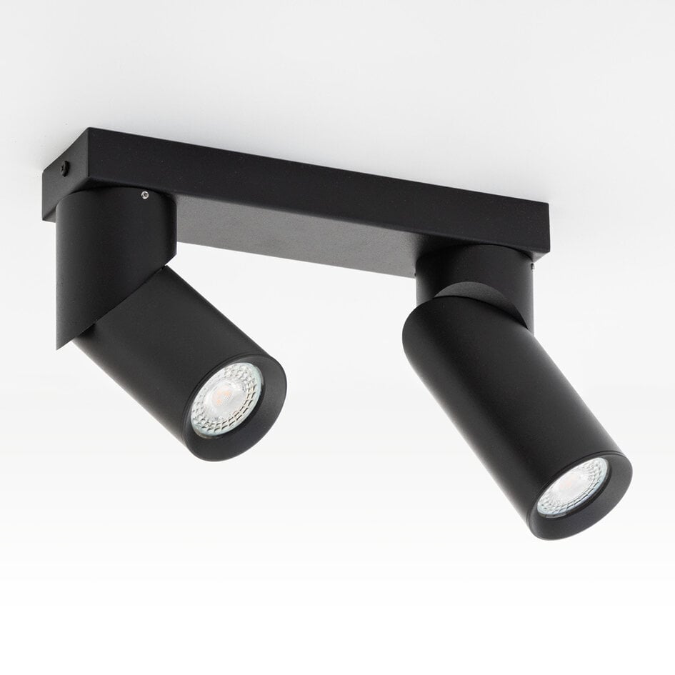 Plafonnier industriel 2 lumières Libby - noir