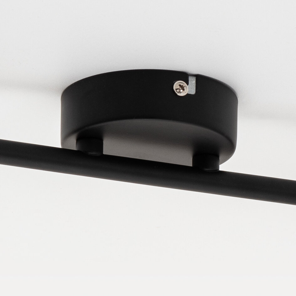 Plafondlamp met smoke glas en spiegeleffect, 2-lichts - Phoenix