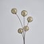Lampadaire moderne Claire 5 lumières en doré