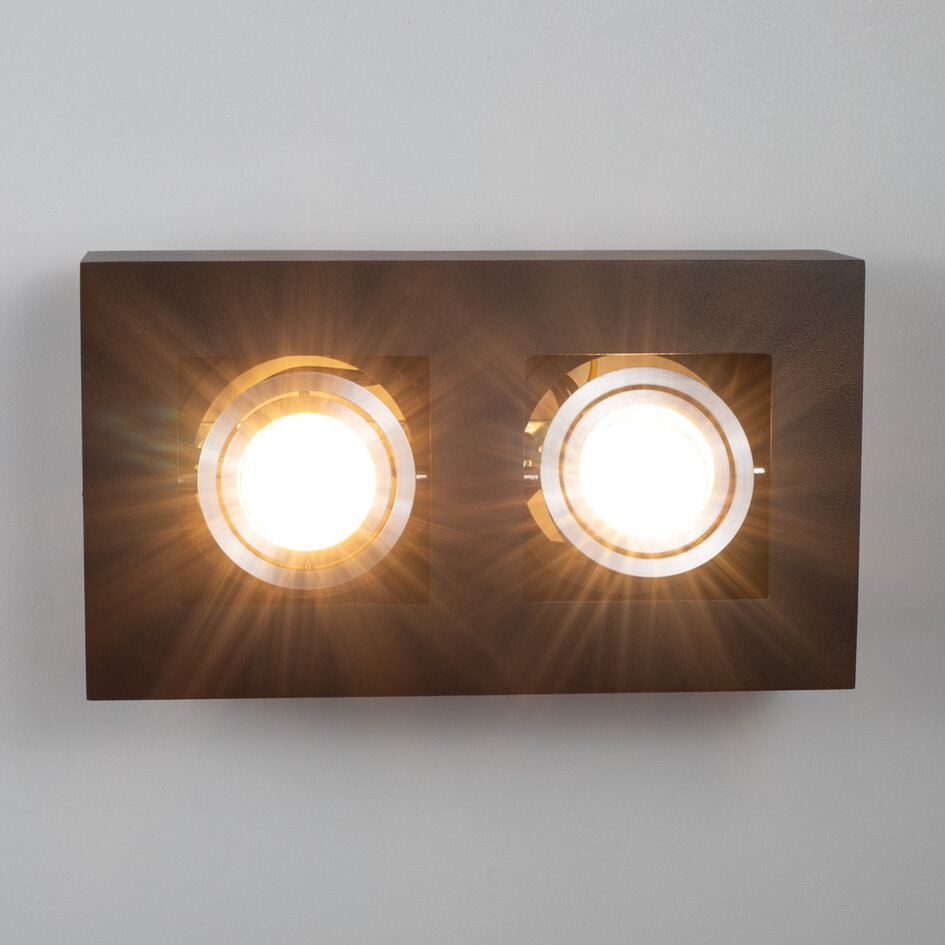 Luxe 2-lichts zwarte opbouwspot - Benny