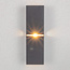 Moderne wandlamp Zev in zwart met goud