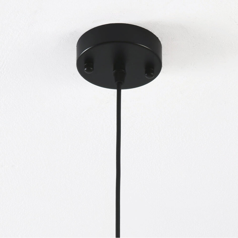 1-lichts hanglamp Trinidad met smoke glas - variant 3