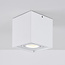 Design spot Carl, kantelbaar - wit