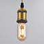 Ampoule tube LED E27 dimmable, verre ambré 11 cm (2200K)
