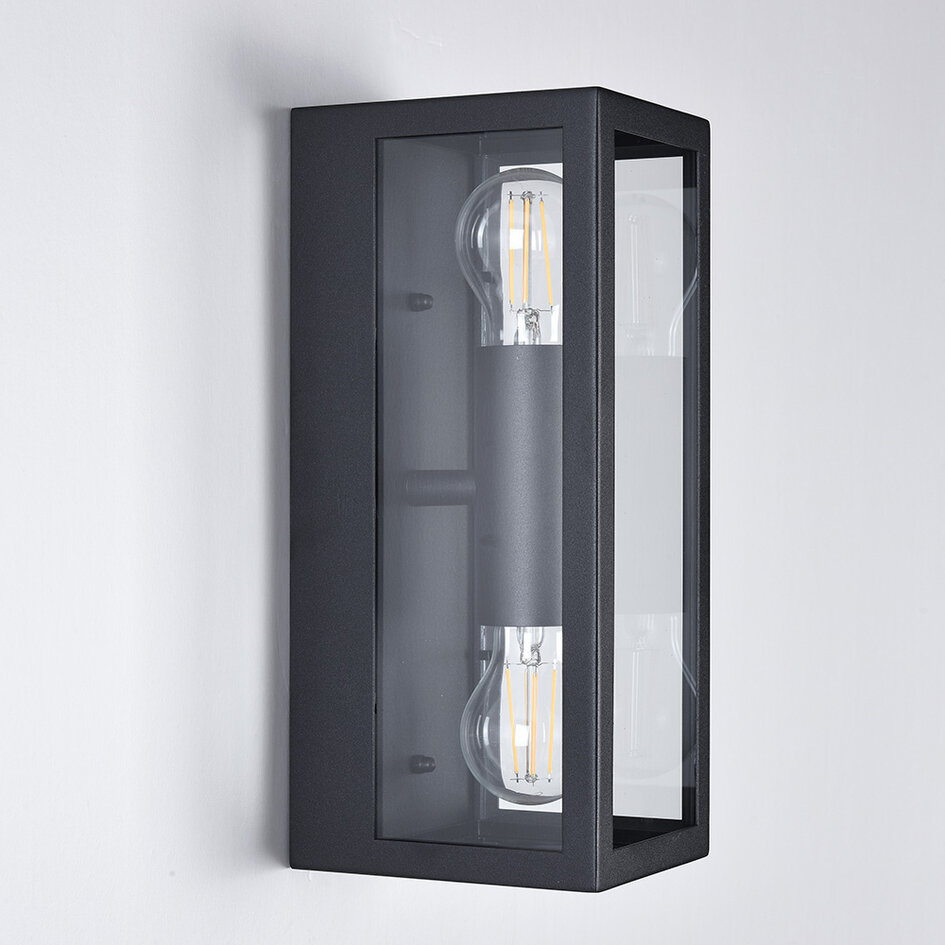 RVS zwarte wandlamp Diana 2-lichts met glas