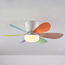 Ventilateur de plafond coloré Swift avec lampe et télécommande