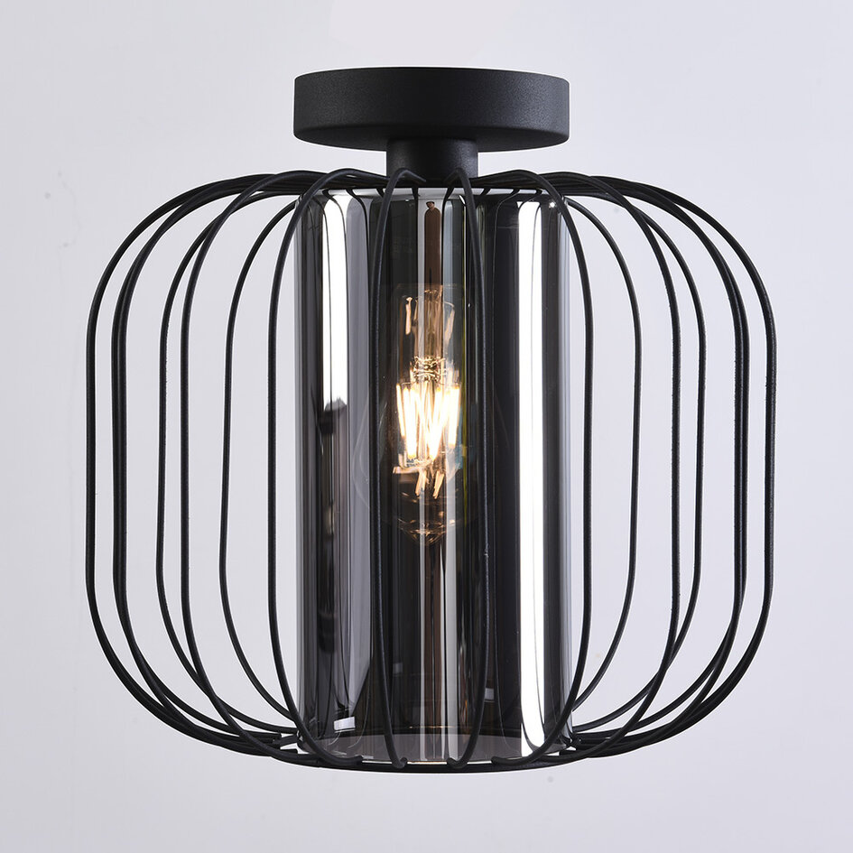 Design plafondlamp met smoke glas - Dide