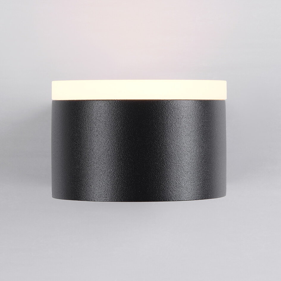 Applique extérieure Feline avec LEDs intégrées - noir