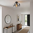 Plafondlamp Dome zwart met smoke glas
