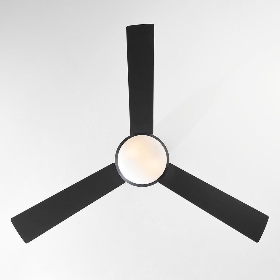 Ventilateur de plafond moderne 2 lumières Coco - noir
