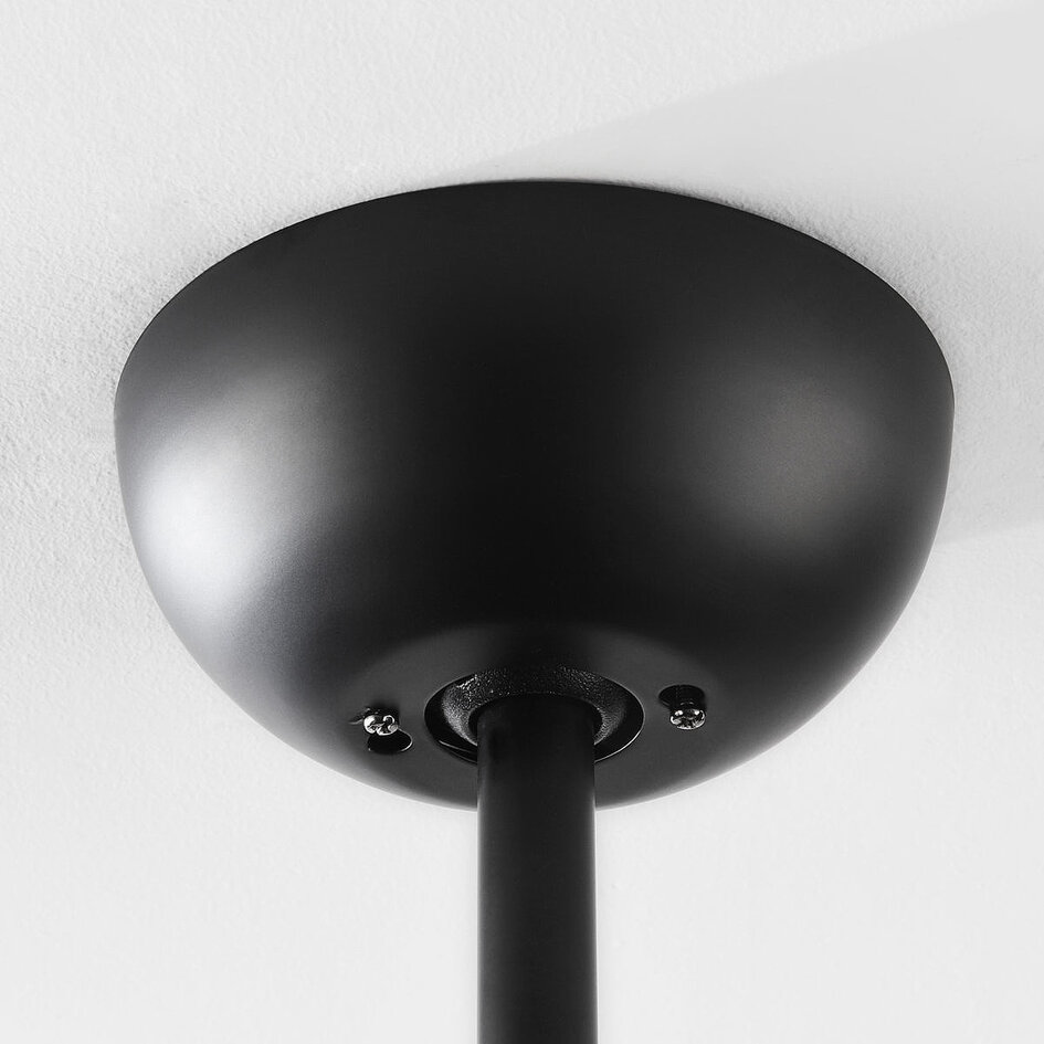 Ventilateur de plafond moderne 2 lumières Coco - noir