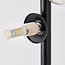Vloerlamp Tyson zwart met smoke glas, 5-lichts