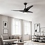 Ventilateur de plafond Wieke - noir avec température de couleur réglable