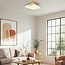 Plafondlamp dimbaar met houten details - Meta