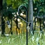 Poteaux de jardin en métal avec crochet 120 cm set de 5 pièces