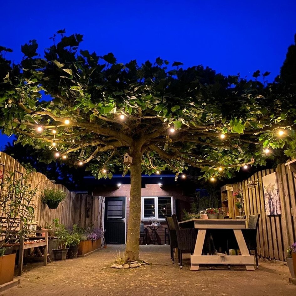 Ampoules guinguette à LED blanc chaud avec LED sur grandes perches