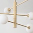 6-lichts plafondlamp Sest - beige met melkwit glas