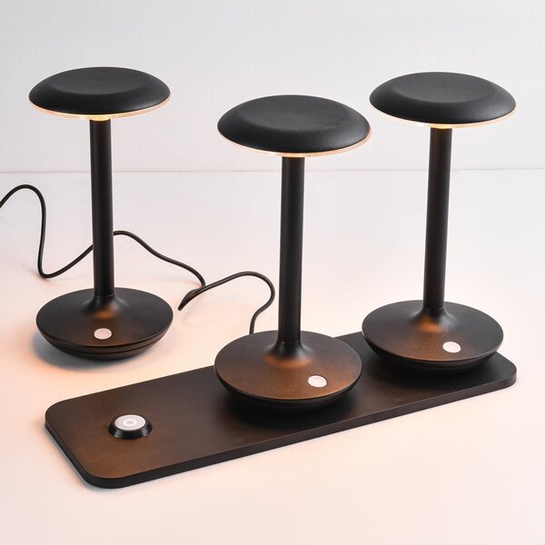 Set de 3 lampes de table sans fil avec couleur de lumière réglable et station de charge – Charge