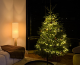 Kerstverlichting inspiratie voor december, zo laat je jouw huis en tuin stralen