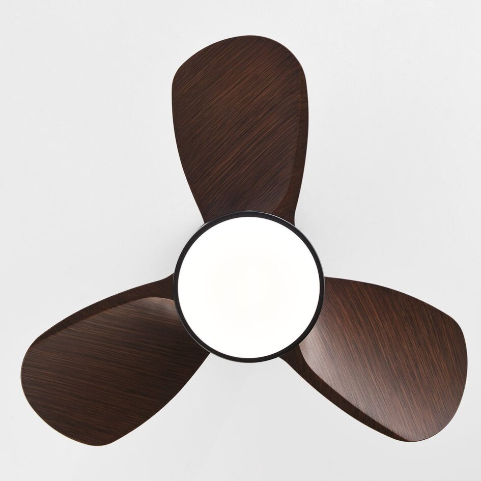 Ventilateur de plafond compact avec LED et télécommande Vietor - noir et marron foncé