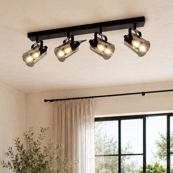 Plafondlamp Lucie 4-lichts met smoke grijs glas - zwart