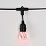 Slim RGBW lichtsnoer met 15 hangende fittingen & TUYA wifi - 15 meter