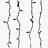 Lichtgordijn