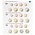 Feuilles de Monnaies - Karat 1108 ( 1), qui convient pour: Euro (sets) - Pré-imprimé 4 Anneaux - dim: 188 x 210 mm ■ par pc.