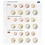 Coin sheets - Karat 1108 ( 7), suitable for: sheets - Pre-printed4 Rings