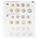 Coin sheets - Karat 1108 (22), suitable for: Euro (sets) - Pre-printed 4 Rings - dim: 188 x 210 mm ■ per pc.