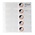 Muntenbladen - Karat 1110 ( 2), geschikt voor: 10 Euro - Voorbedrukt 4 Rings - afm: 188 x 210 mm ■ per stuk